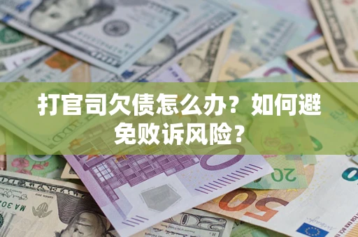 北京打官司欠债怎么办？如何避免败诉风险？