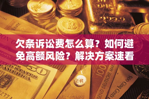 北京欠条诉讼费怎么算？如何避免高额风险？解决方案速看！