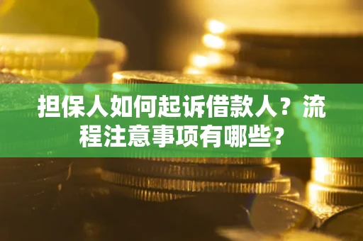 北京担保人如何起诉借款人？流程注意事项有哪些？